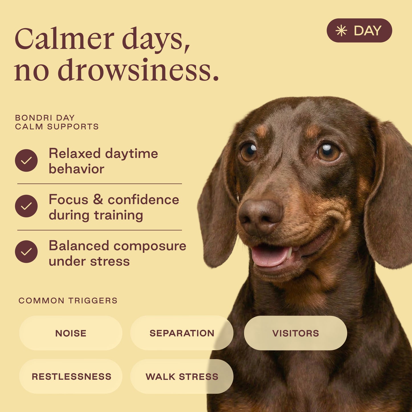 Day Calm Chews