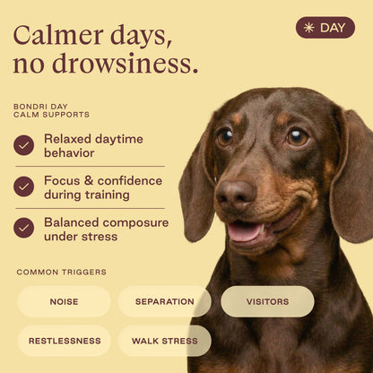 Day Calm Chews
