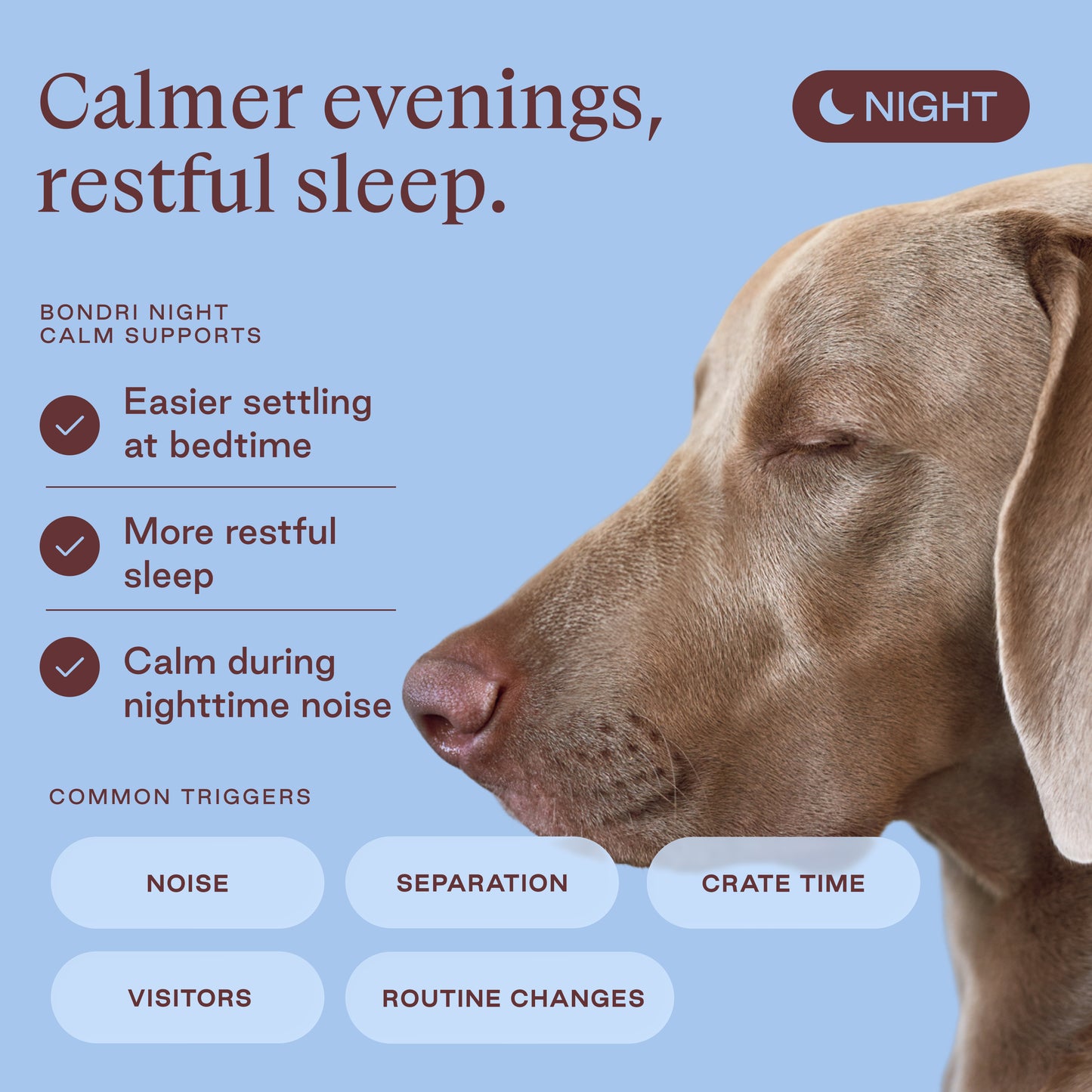 Night Calm Chews