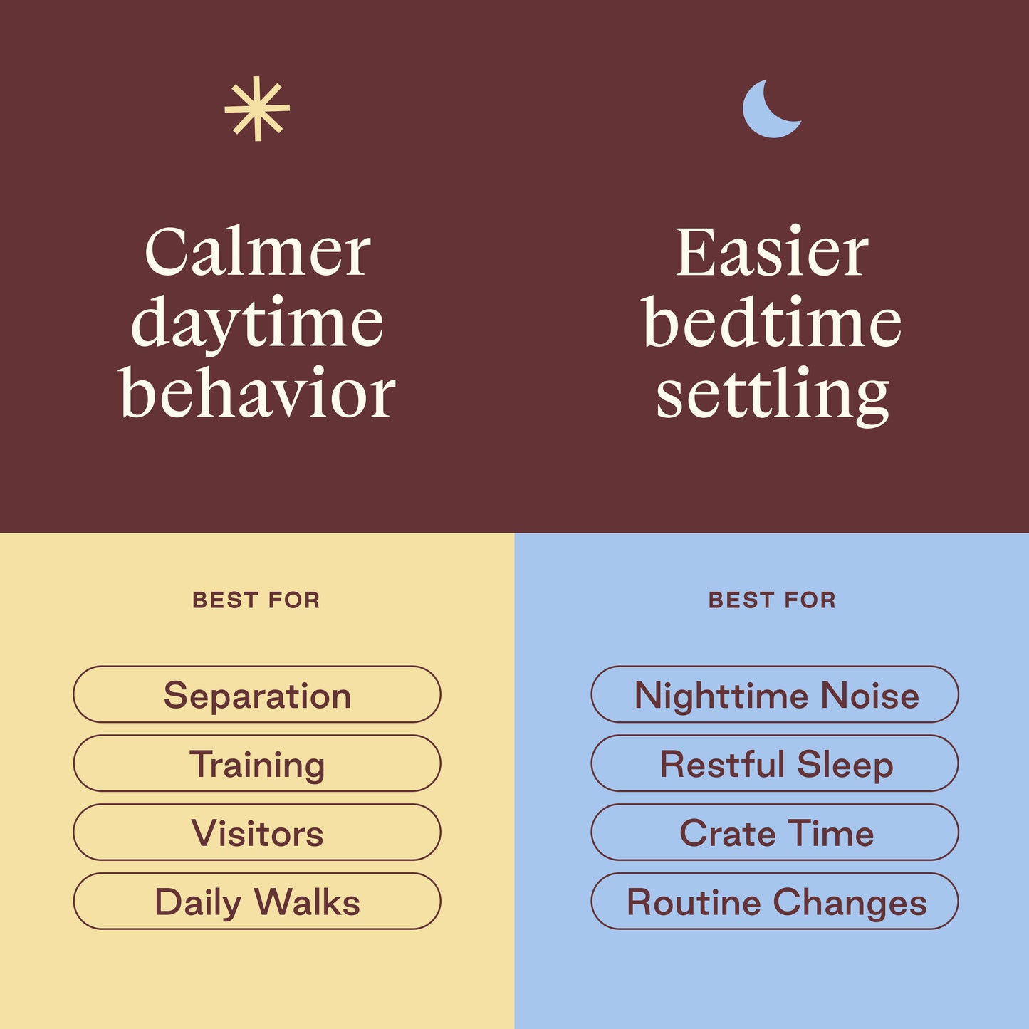 Day + Night Bundle