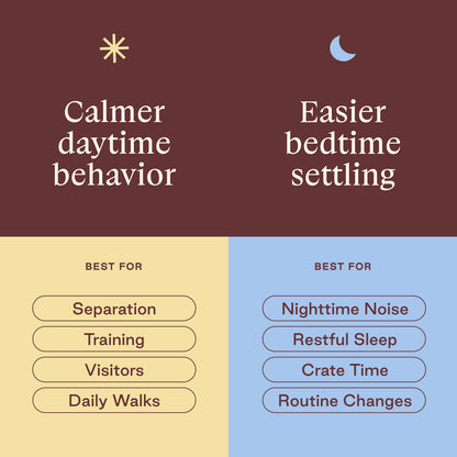 Day + Night Bundle