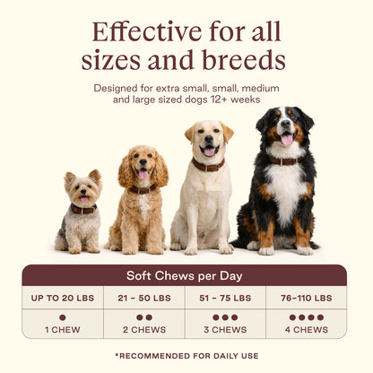 Day Calm Chews