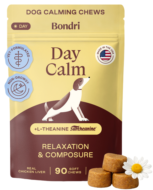 Day Calm Chews