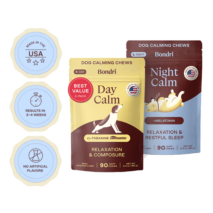 Day + Night Bundle