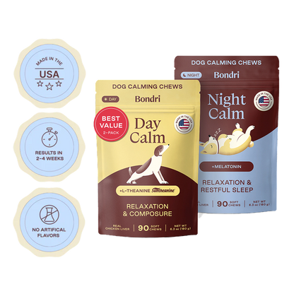 Day + Night Bundle