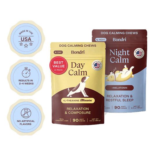 Day + Night Bundle