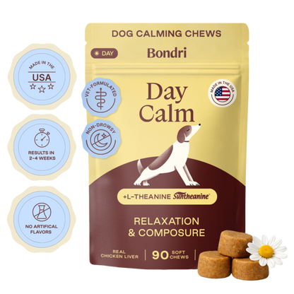 Day Calm Chews